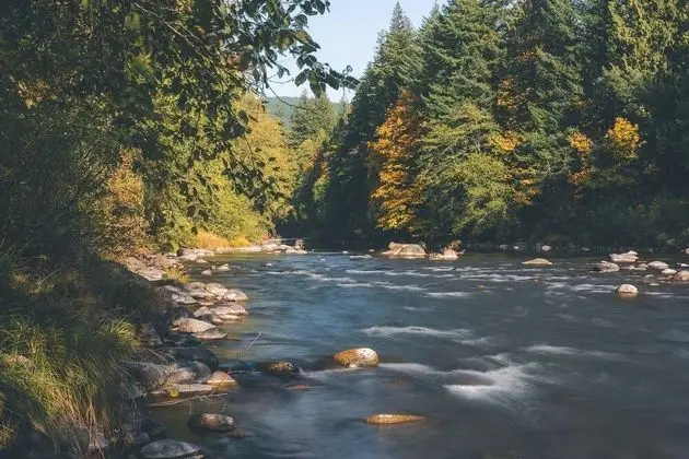Kulübe, Birden Çok Yatak (Riverwoods Lodge)