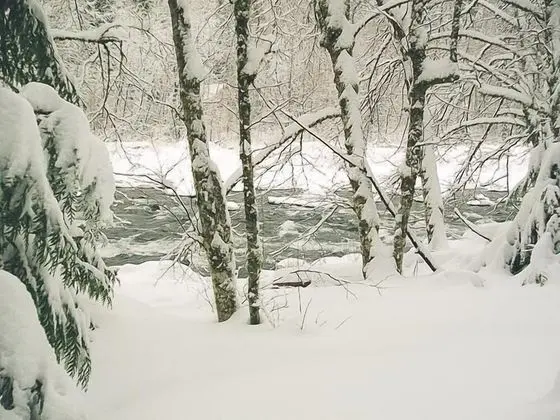 Kulübe, Birden Çok Yatak (Riverwoods Lodge)