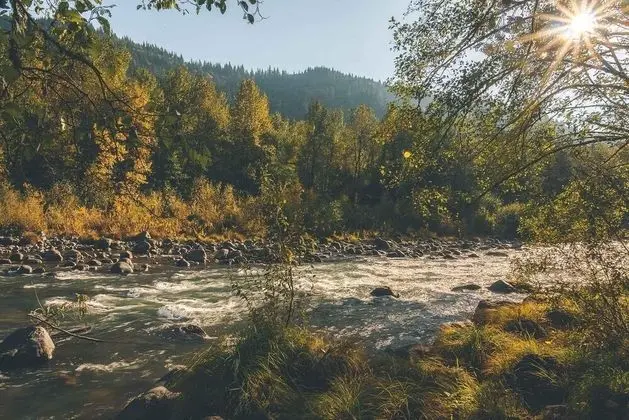 Kulübe, Birden Çok Yatak (Riverwoods Lodge)