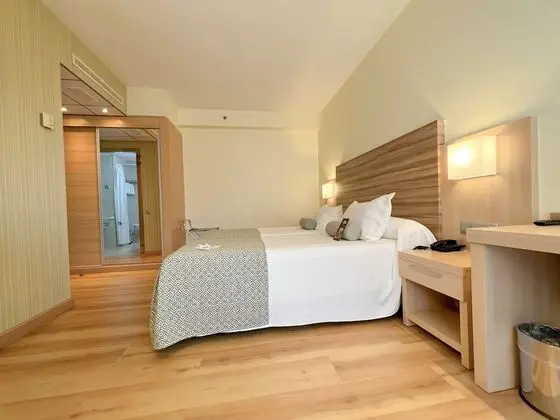 Tek Büyük Yataklı Oda, Engellilere Uygun (2 beds)