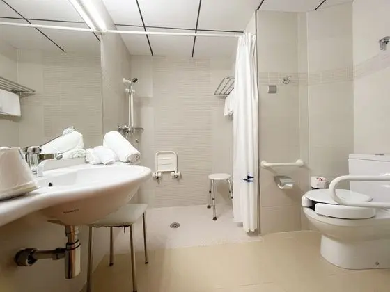Tek Büyük Yataklı Oda, Engellilere Uygun (2 beds)