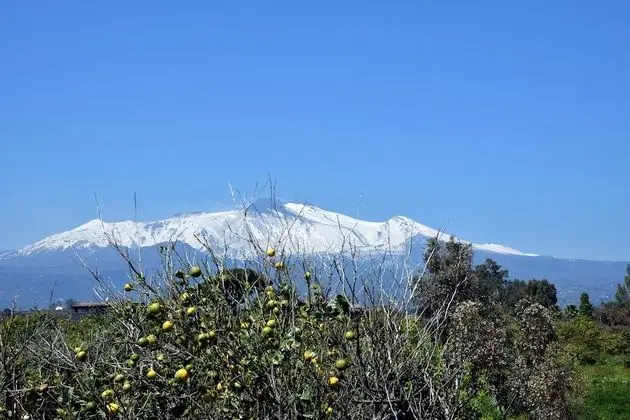 Bungalov, 2 Yatak Odası, Deniz Manzaralı (Bungalow 1)