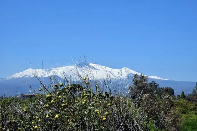 Bungalov, 2 Yatak Odası, Deniz Manzaralı (Bungalow 2)