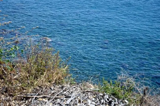 Bungalov, 2 Yatak Odası, Deniz Manzaralı (Bungalow 3)