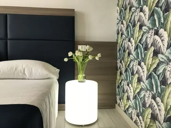 Tek Büyük Yataklı Oda, Balkon, Göl Manzaralı