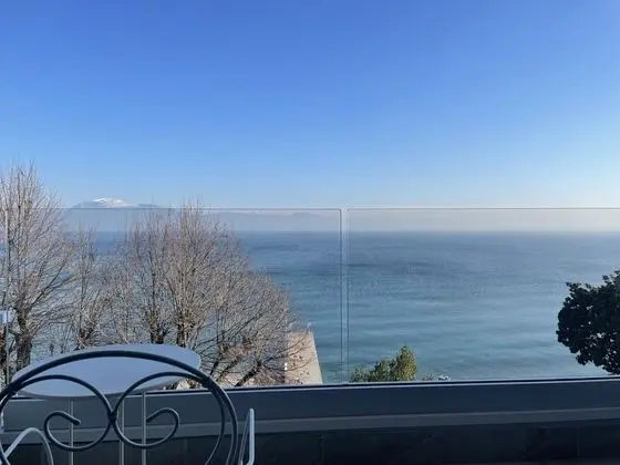 Tek Büyük Yataklı Oda, Balkon, Göl Manzaralı