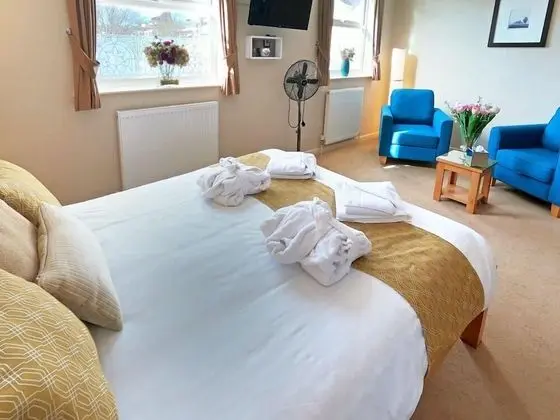 Deluxe Tek Büyük Yataklı Oda