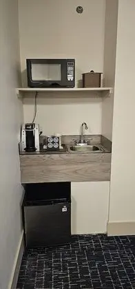 Superior Süit, 1 Yatak Odası, Engellilere Uygun, Sigara İçilmez