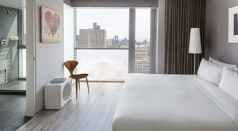 Premium Oda, 1 Yatak Odası, Küvet, Şehir Manzaralı