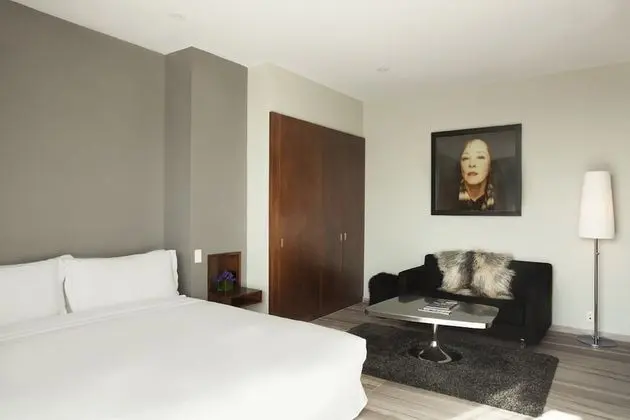 Premium Oda, 1 Yatak Odası, Küvet, Şehir Manzaralı