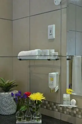 Luxury Tek Büyük Yataklı Oda, Özel Banyo, Zemin Kat