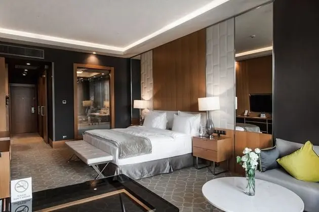 Premium Tek Büyük Yataklı Oda, 1 En Büyük (King) Boy Yatak