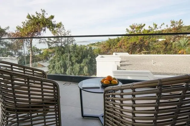 https://images.etstur.com/files/images/hotelImages/TR/51743/l/Rixos-Premium-Bodrum-Oda-336741.jpg
