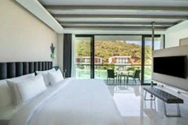 Executive Villa