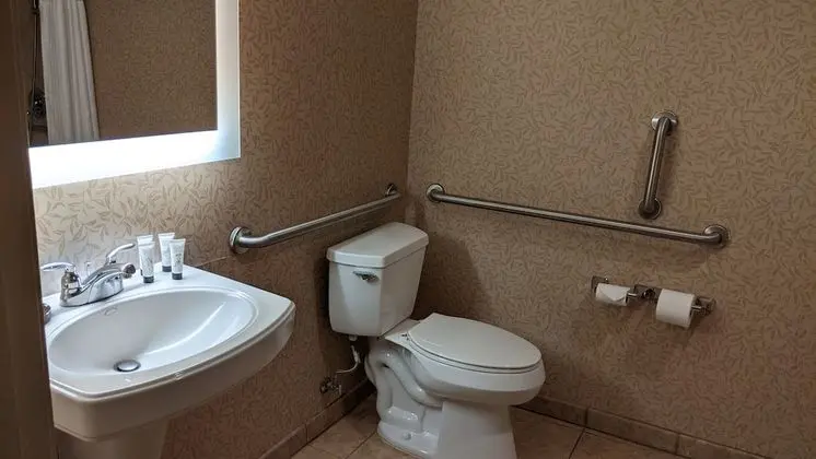 Premium Oda, 2 Büyük (Queen) Boy Yatak, Engellilere Uygun (Communication, Accessible Tub)