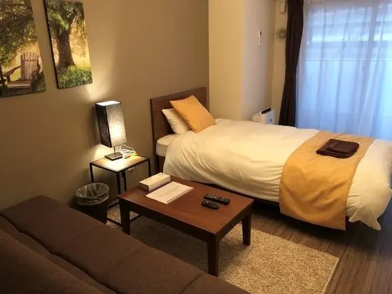 Comfort Tek Kişilik Oda, Sigara İçilmez