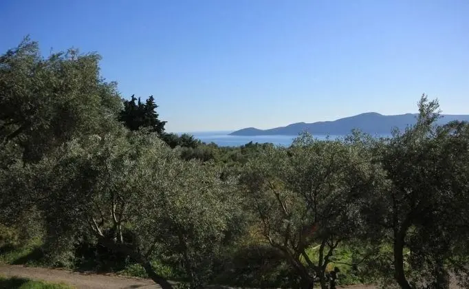 Stüdyo, Balkon, Deniz Manzaralı