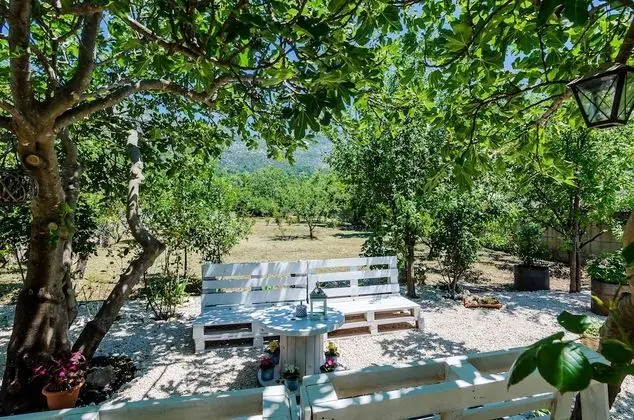 Villa (Three-Bedroom Villa)