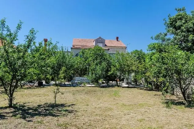 Villa (Three-Bedroom Villa)