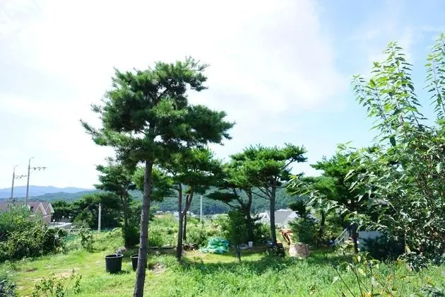 A (4 guests, Extra person fee 30,000 KRW on site)