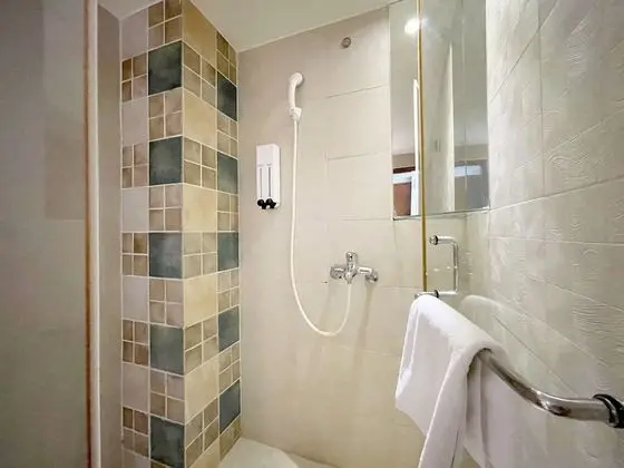Standard Tek Büyük veya İki Ayrı Yataklı Oda (Run of House)