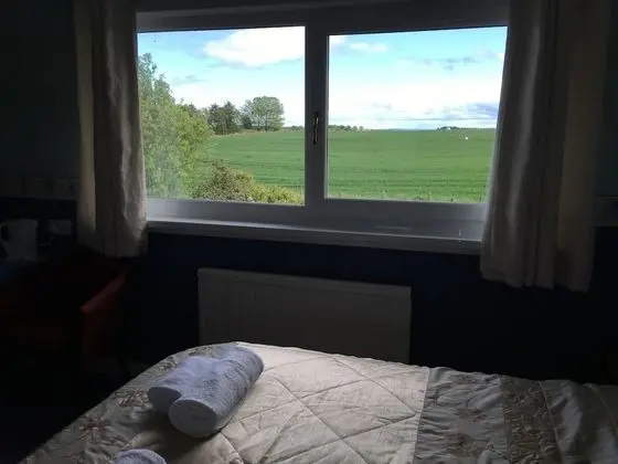 Comfort Tek Büyük Yataklı Oda, 1 Çift Kişilik Yatak