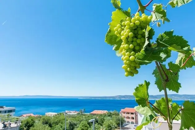 Apart Daire (Robert - sea view - A1(4+1))