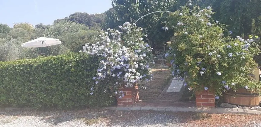 Apart Daire (Robi- swimming pool and beautiful gar)