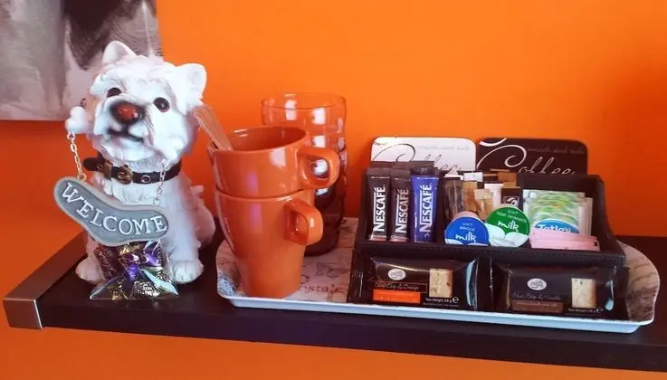 Deluxe İki Ayrı Yataklı Oda, Banyolu/Duşlu (Orange Room)