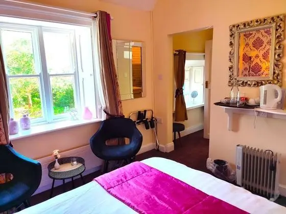 Tek Büyük Yataklı Oda, Banyolu/Duşlu (Room 4)