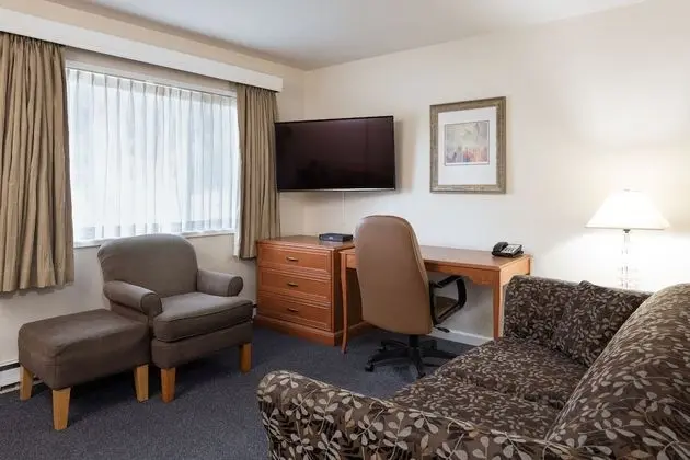 Premium Apart Daire, 1 Büyük (Queen) Boy Yatak ve Çekyat