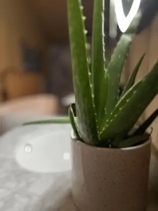 Çadır, Özel Banyo