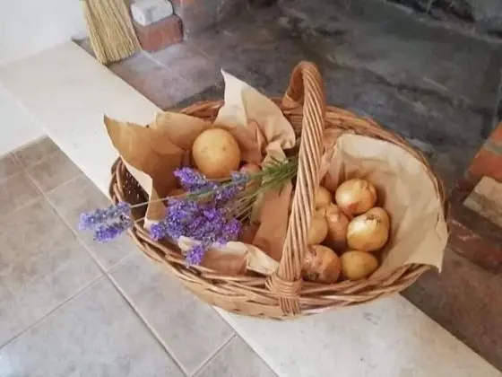 Kır Evi (Two-Bedroom House)