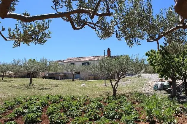 Kır Evi (Two-Bedroom House)