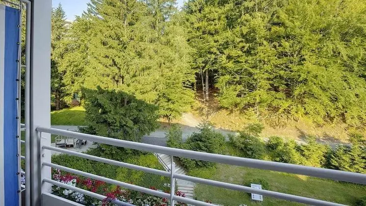 Superior Tek Büyük Yataklı Oda (Single Use)