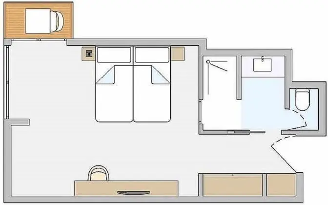 Economy Tek Büyük Yataklı Oda (DZE1)