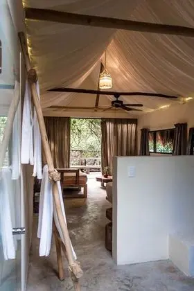 Jungle Suite, Jungle View