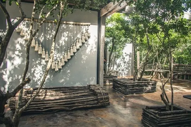 Jungle Suite, Jungle View