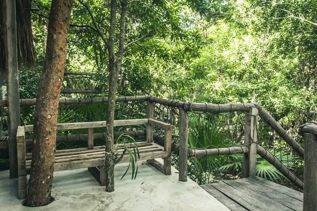 Jungle Suite, Jungle View