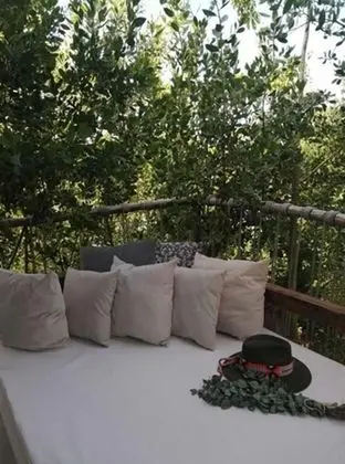 Jungle Suite, Jungle View