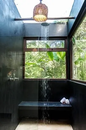 Jungle Suite, Jungle View