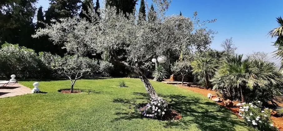 Romantic Bungalov, 1 Büyük (Queen) Boy Yatak, Teras, Havuz Manzaralı (Olivo)