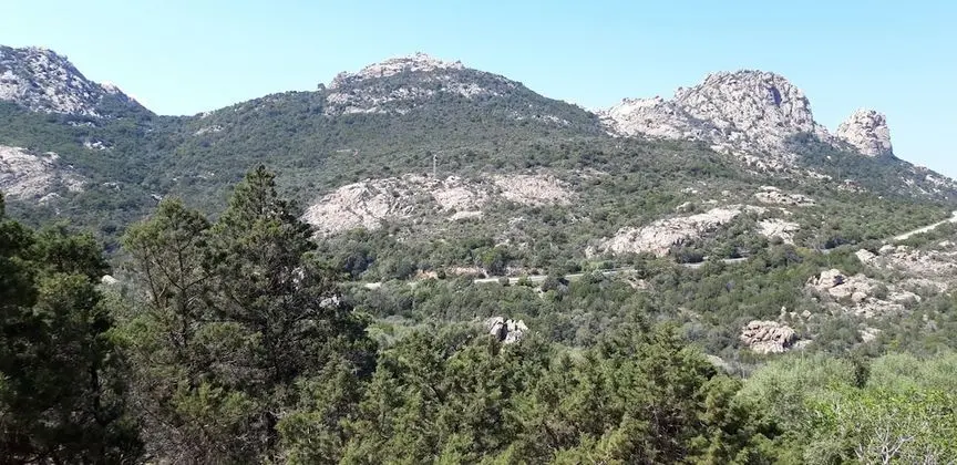 Classic Tek Büyük veya İki Ayrı Yataklı Oda