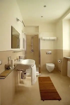 Superior Tek Büyük veya İki Ayrı Yataklı Oda, Teras, Üzüm Asması Manzaralı