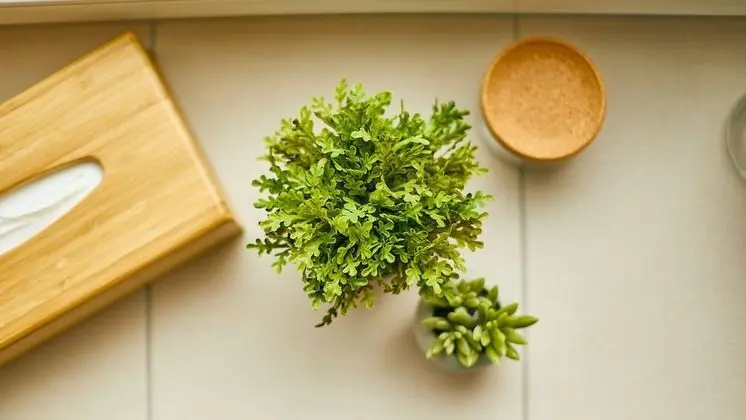 Classic Tek Büyük Yataklı Oda, Özel Banyo