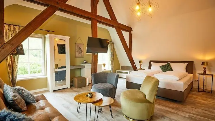 Exclusive Tek Büyük Yataklı Oda, Özel Banyo (Mosel-Loft)