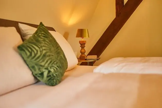 Exclusive Tek Büyük Yataklı Oda, Özel Banyo (Mosel-Loft)