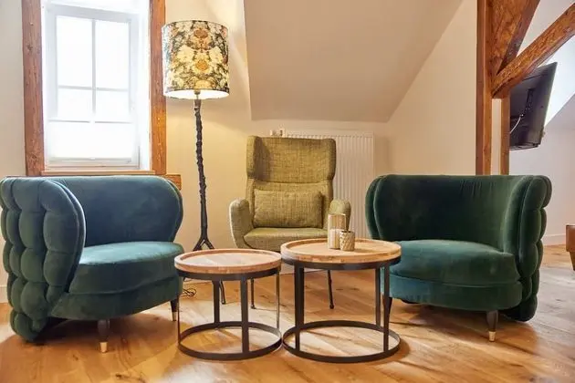 Exclusive Tek Büyük Yataklı Oda, Özel Banyo (Mosel-Loft)