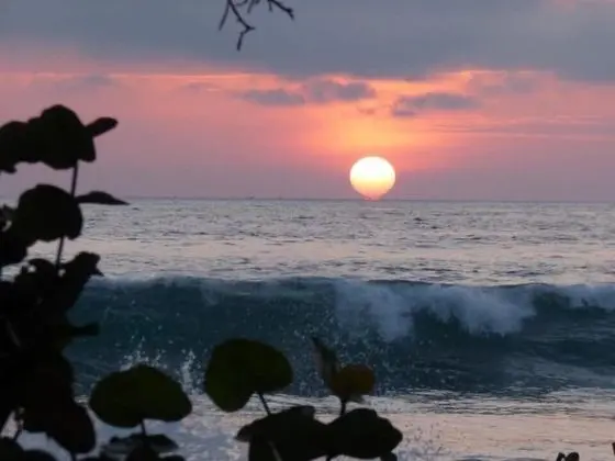 Family Ortak Ranzalı Oda