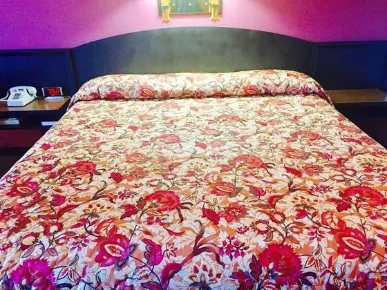 Deluxe Oda, 1 En Büyük (King) Boy Yatak